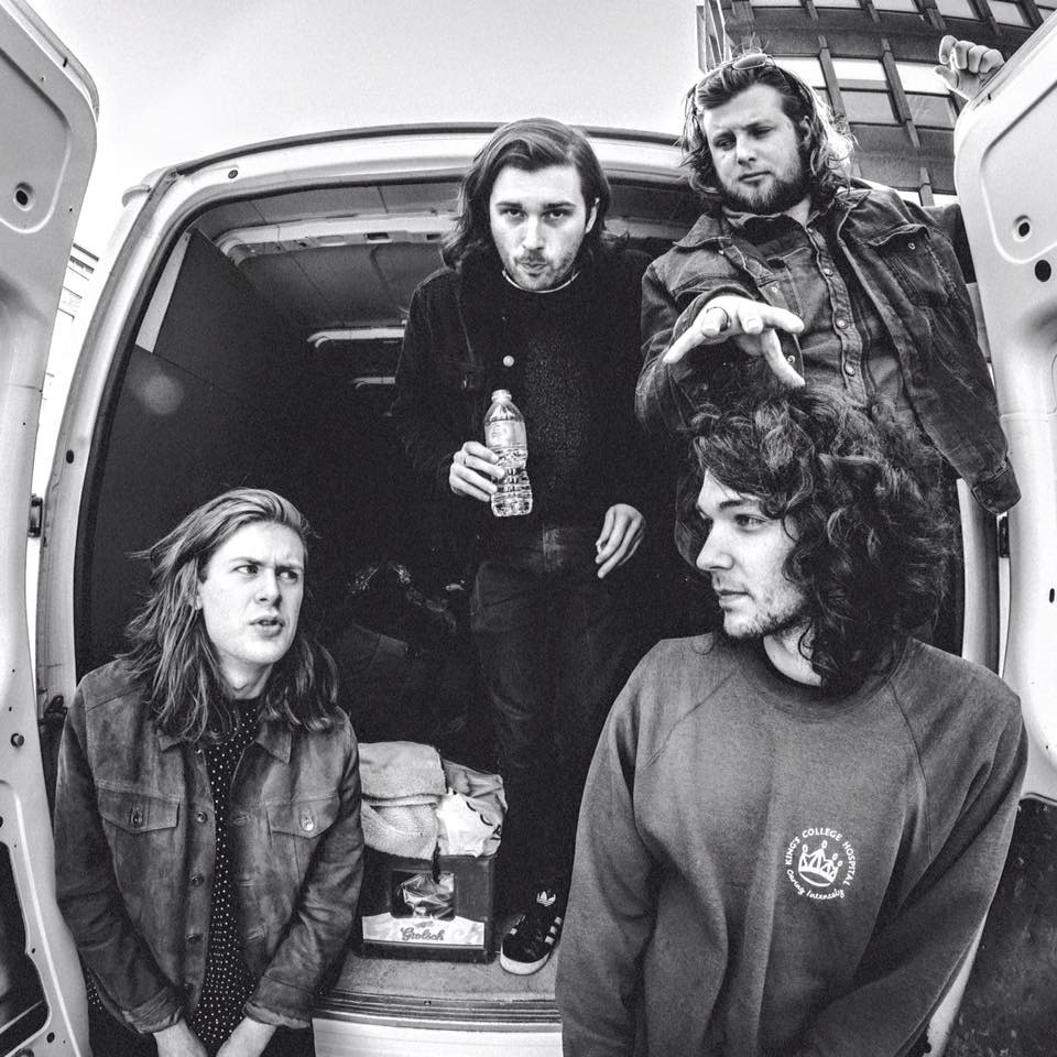 The Amazons